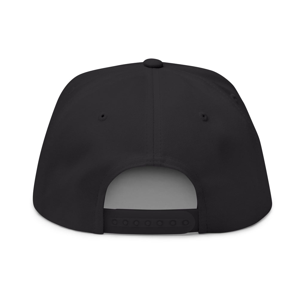 The PMCoin Flat Bill Cap