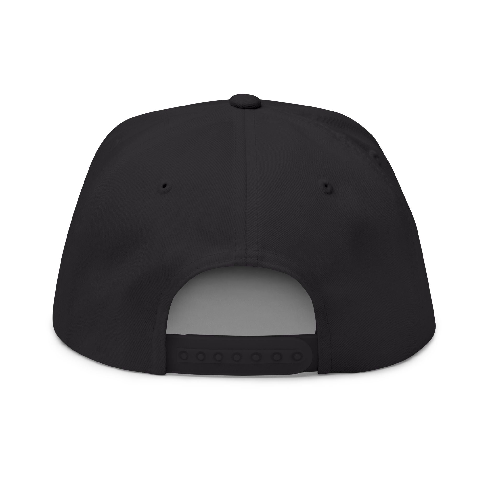 The PMCoin Flat Bill Cap