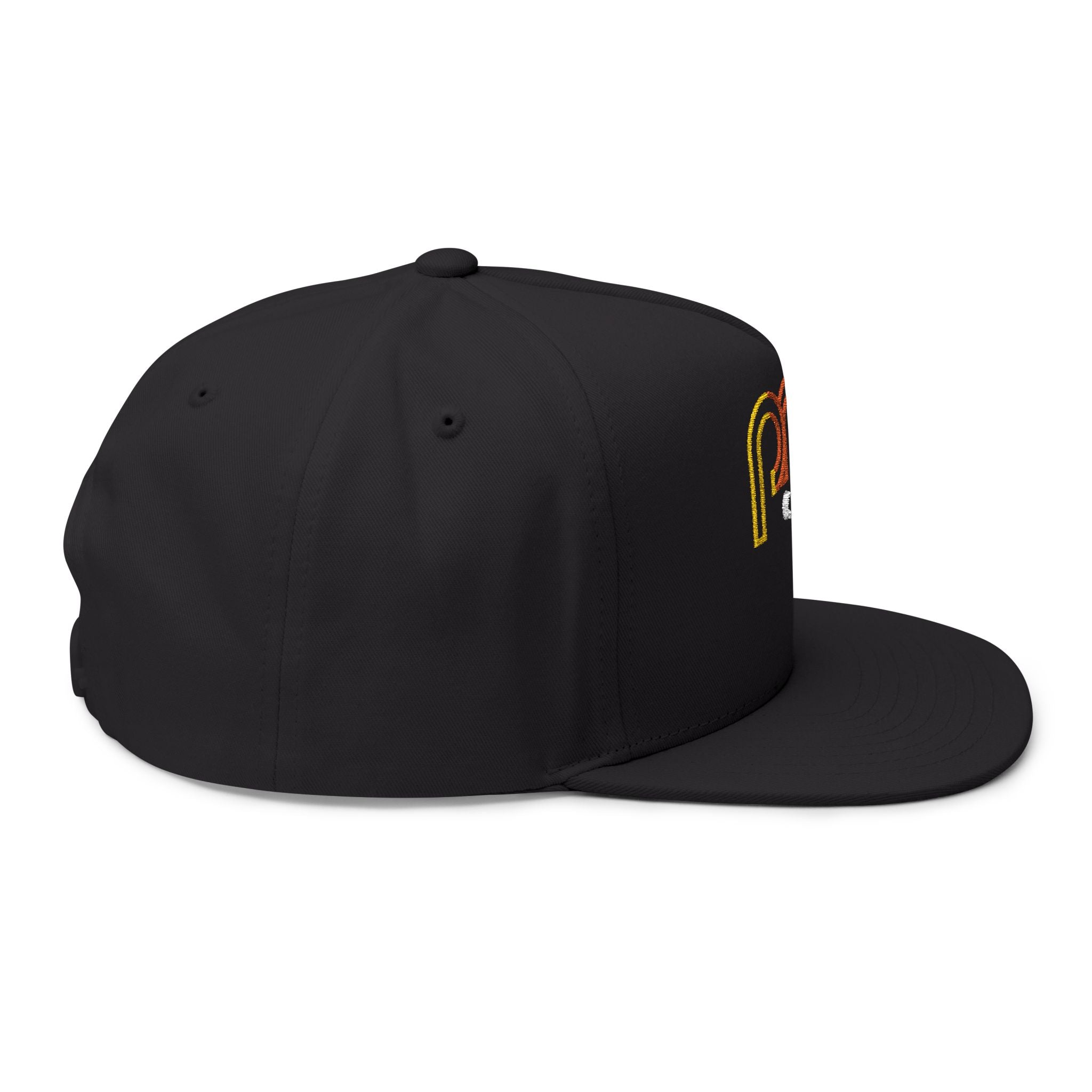 The PMCoin Flat Bill Cap